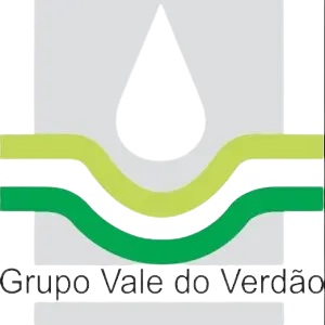 logo da vale do verdão